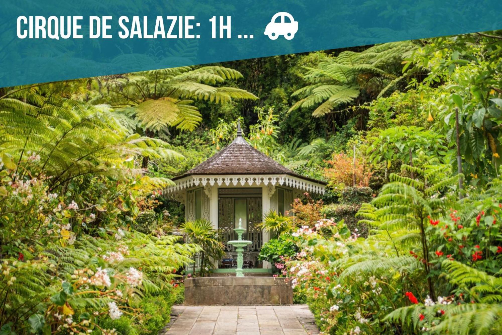 T2 Fleur De Lotus Daire Saint-Denis Dış mekan fotoğraf